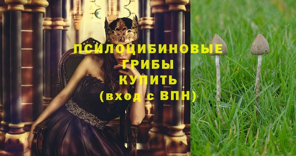 первитин Алексеевка